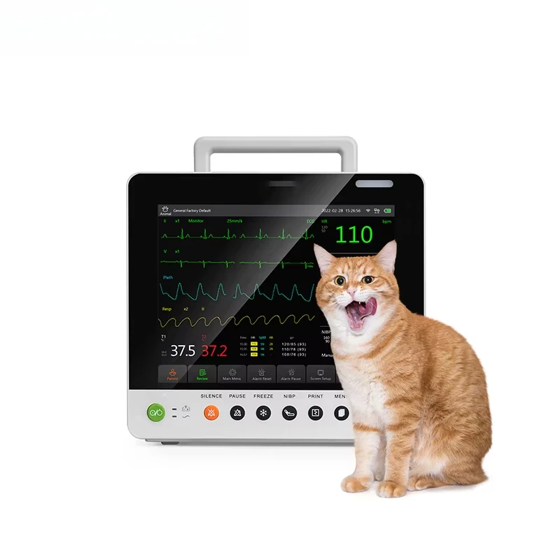 Animal Multi-parameter Veterinary Diagnostic Tool Multi-parameter Animal Diagnostic For Pet Hospitals
Animal Multi-parameter Veterinary Diagnostic Tool Multi-parameter Animal Diagnostic For Pet Hospitals