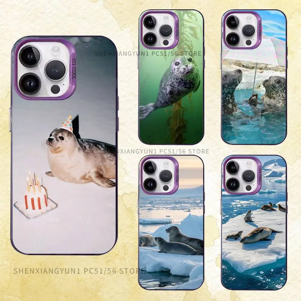 Animal Seal Case iPhone 17 16e 16 15 14 13 12 11 Pro Max X XR XS MAX 8,7 Air Plus Back Cover
Animal Seal Case iPhone 17 16e 16 15 14 13 12 11 Pro Max X XR XS MAX 8,7 Air Plus Back Cover