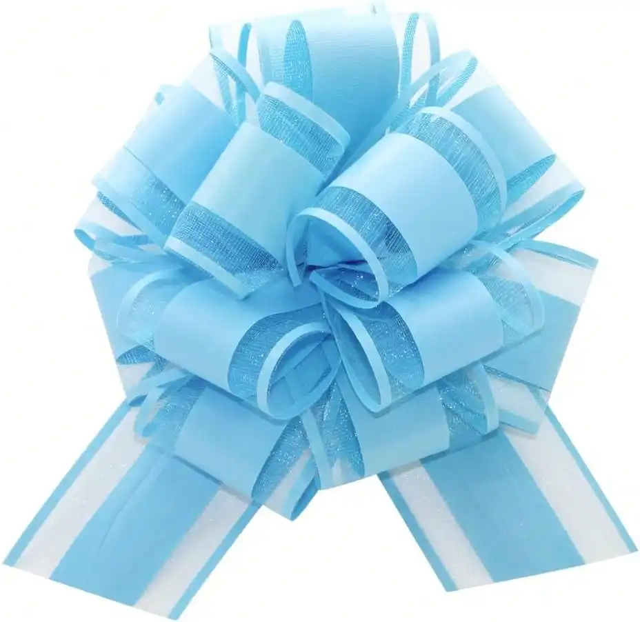 WSSCKSCR 10 Pieces Large Pull Bows, 6 Inches, Blue Snowflake Satin Gift Wrapping Bows
WSSCKSCR 10 Pieces Large Pull Bows, 6 Inches, Blue Snowflake Satin Gift Wrapping Bows