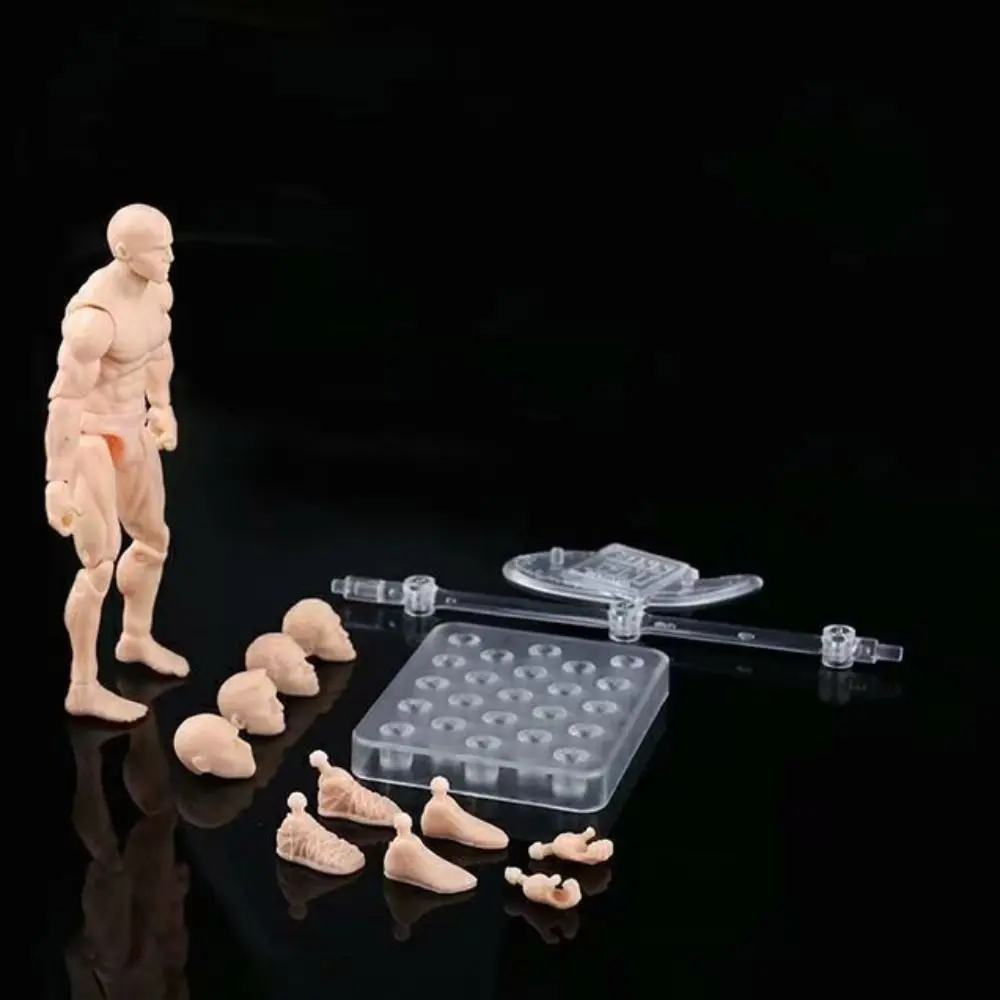 Action Figure Skin Nude Doll Toys Handmade Joints Movable Male Femalew Body Dolls DIY Professional Detachable
Action Figure Skin Nude Doll Toys Handmade Joints Movable Male Femalew Body Dolls DIY Professional Detachable