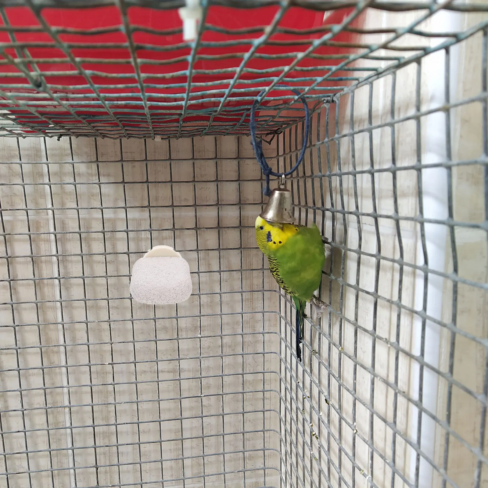 Bird Perch Stand Parrot Perch for Cage Sturdy Training Platform for Pet Birds Foot Rest and Balance Exercise Bird Cage
Bird Perch Stand Parrot Perch for Cage Sturdy Training Platform for Pet Birds Foot Rest and Balance Exercise Bird Cage