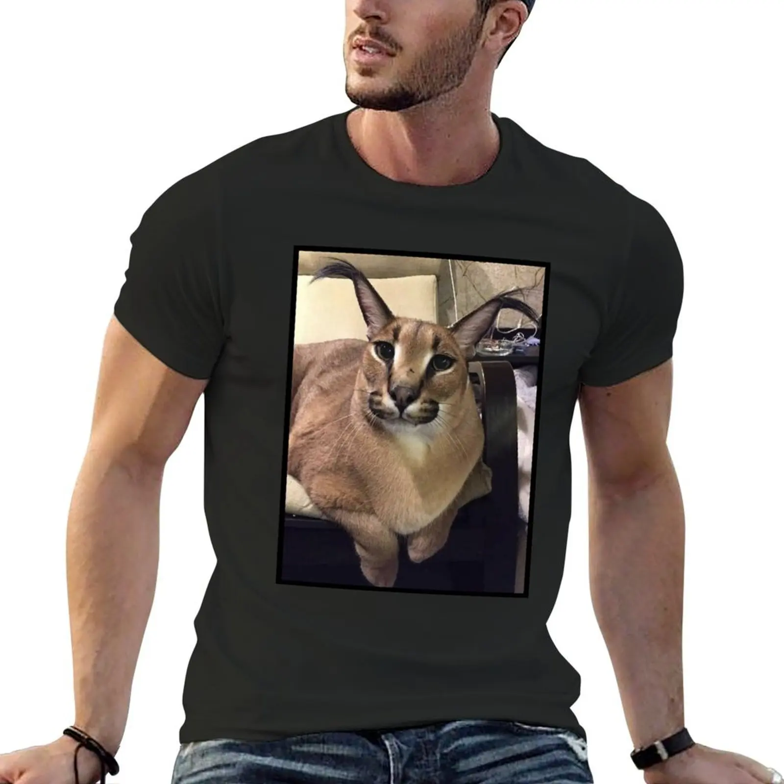 Big Floppa T-Shirt shirts graphic tee essential t shirt vintage oversized t shirt men
Big Floppa T-Shirt shirts graphic tee essential t shirt vintage oversized t shirt men