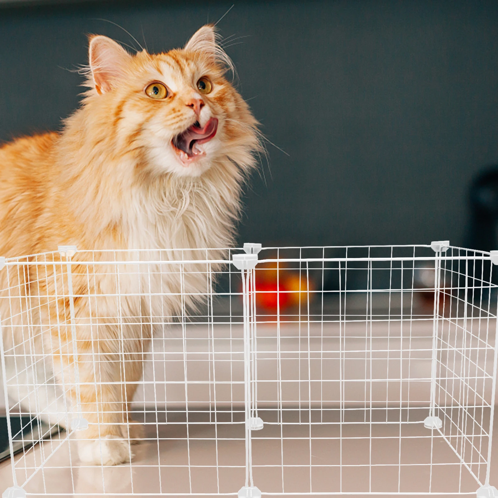 Accessories Pet Fence Baby Outdoor Dog Kennel Cats Iron Wire Pets Metal Crate Cage
Accessories Pet Fence Baby Outdoor Dog Kennel Cats Iron Wire Pets Metal Crate Cage