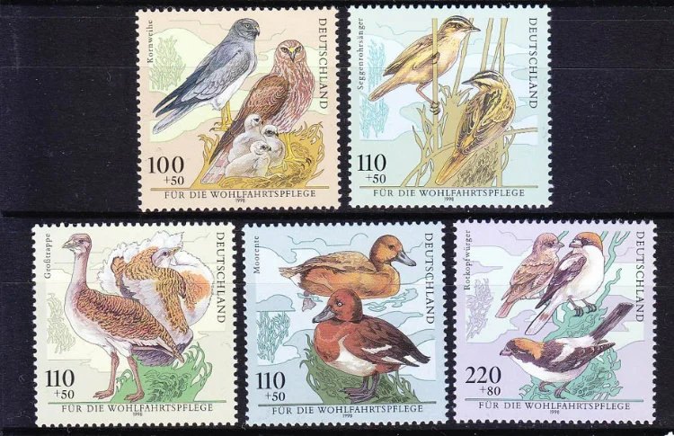 5 шт., штампы почты Германии, 1998, штампы с птицами, НАСТОЯЩИЕ Оригинальные штампы для коллекции, MNH
5 шт., штампы почты Германии, 1998, штампы с птицами, НАСТОЯЩИЕ Оригинальные штампы для коллекции, MNH