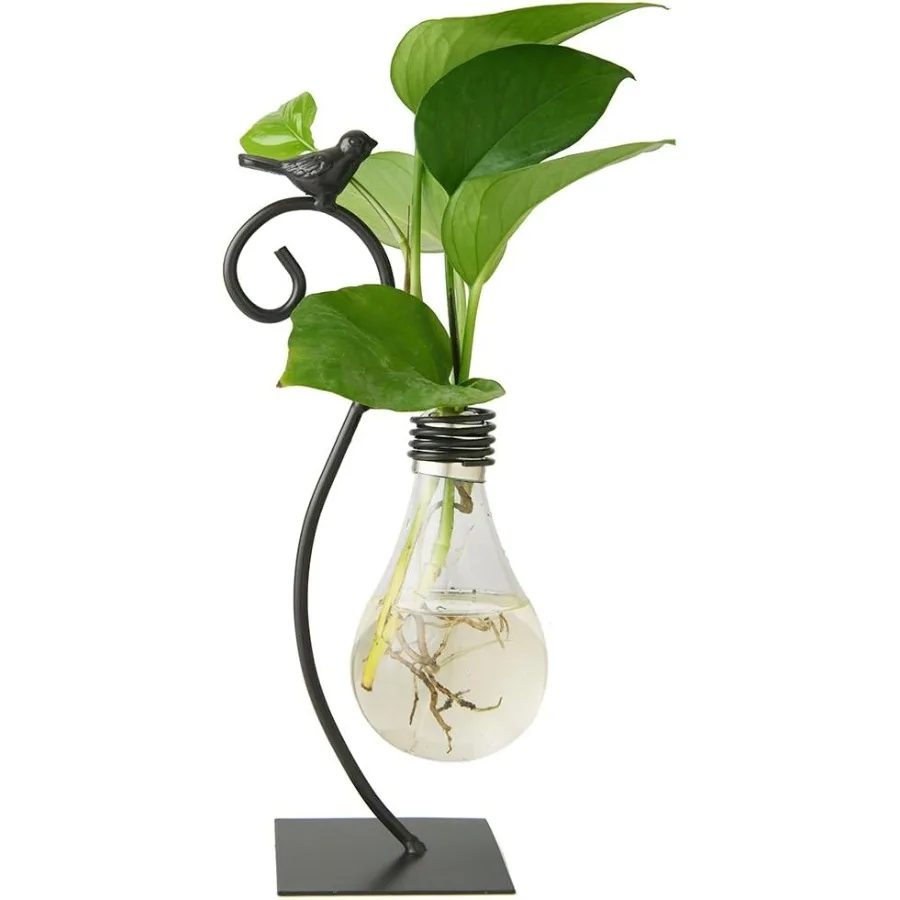 Desktop Glass Planter Hydroponics VasePlanter Bulb Vase with Holder for Home Dration Modern Creative Bird Plant Terrarium Stand
Desktop Glass Planter Hydroponics VasePlanter Bulb Vase with Holder for Home Dration Modern Creative Bird Plant Terrarium Stand