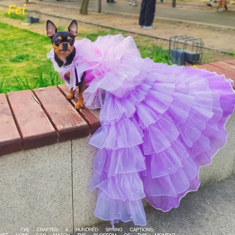 Luxury Silk Lace Dog Dress, Handmade Wisteria Embroidery Bridal Princess Gown for Teacup Poodle Pomeranian, Party Wedding
Luxury Silk Lace Dog Dress, Handmade Wisteria Embroidery Bridal Princess Gown for Teacup Poodle Pomeranian, Party Wedding