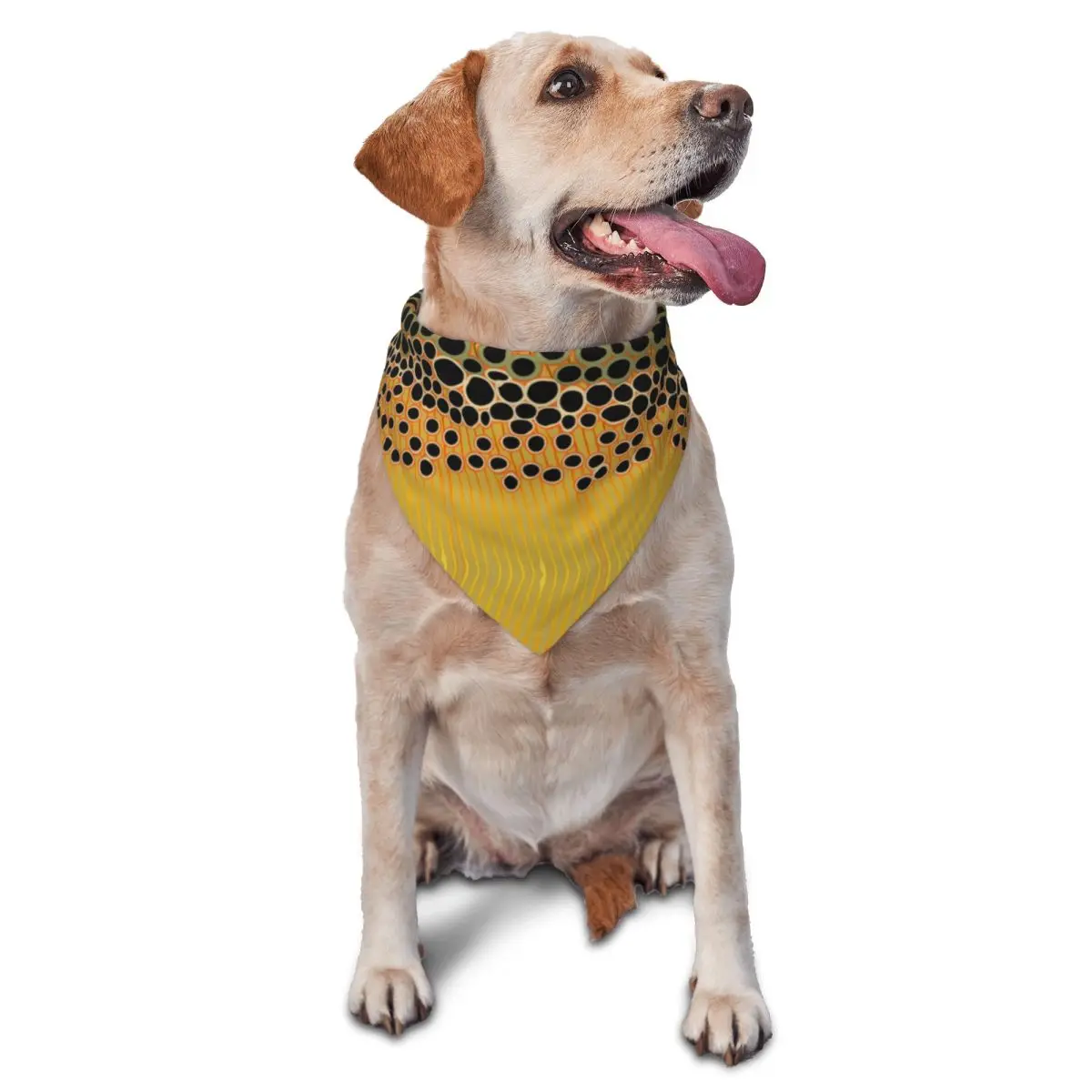 Забавные мультикам военные форели камуфляжные банданы для домашних животных охотничий армейский тактический шарф для домашних животных украшение на шею треугольные нагрудники для домашних животных для щенков кошек
Забавные мультикам военные форели камуфляжные банданы для домашних животных охотничий армейский тактический шарф для домашних животных украшение на шею треугольные нагрудники для домашних животных для щенков кошек