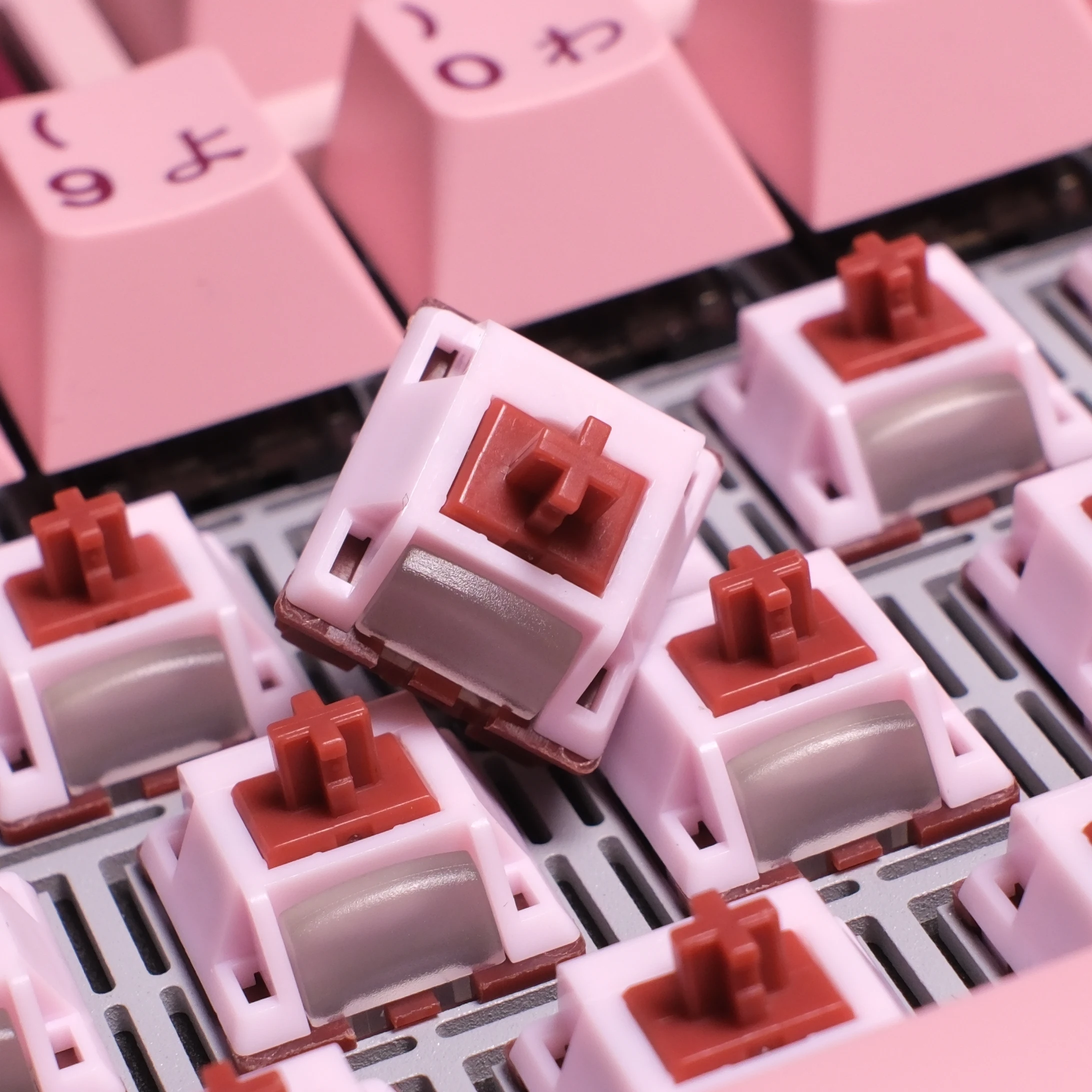 Бесшумный переключатель Bad Sweetheart, линейный предварительно отопленный 5-контактный выключатель с помпоном HotSwap KTT для механической клавиатуры Mx 기계식 키보드 коммерчески
Бесшумный переключатель Bad Sweetheart, линейный предварительно отопленный 5-контактный выключатель с помпоном HotSwap KTT для механической клавиатуры Mx 기계식 키보드 коммерчески