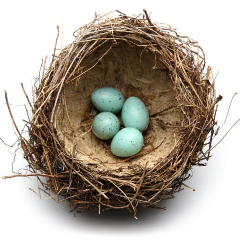 MN 1/12 MN86 Большой корпус автомобиля для скалолазания с полным приводом G
MN 1/12 MN86 Большой корпус автомобиля для скалолазания с полным приводом G