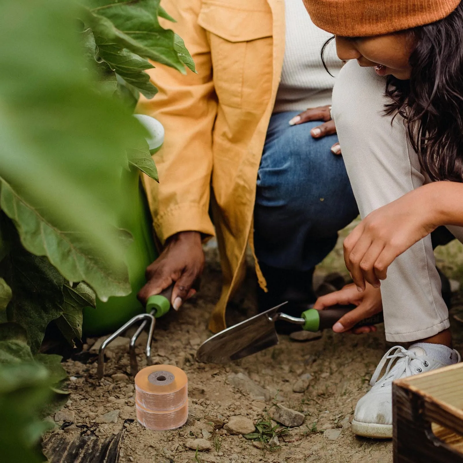 3 рулона прививочной ленты, пластиковая растягивающаяся самоклеящаяся мембрана для прививки сада, фруктовых деревьев, цитрусовых, камней, фруктов, выживания
3 рулона прививочной ленты, пластиковая растягивающаяся самоклеящаяся мембрана для прививки сада, фруктовых деревьев, цитрусовых, камней, фруктов, выживания