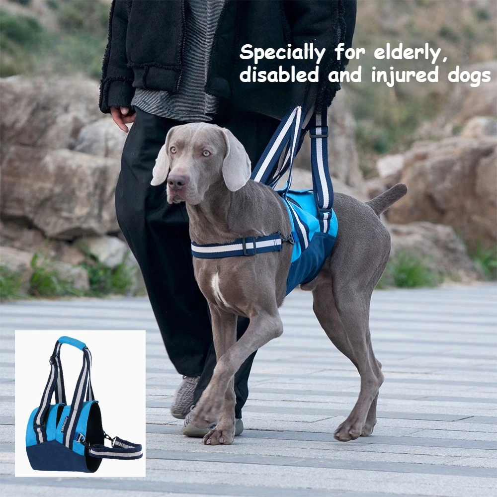 High quality Senior Dog Leg Support Harness, Adjustable Mobility Aid For Weak Legs Recovery,Auxiliary traction
High quality Senior Dog Leg Support Harness, Adjustable Mobility Aid For Weak Legs Recovery,Auxiliary traction