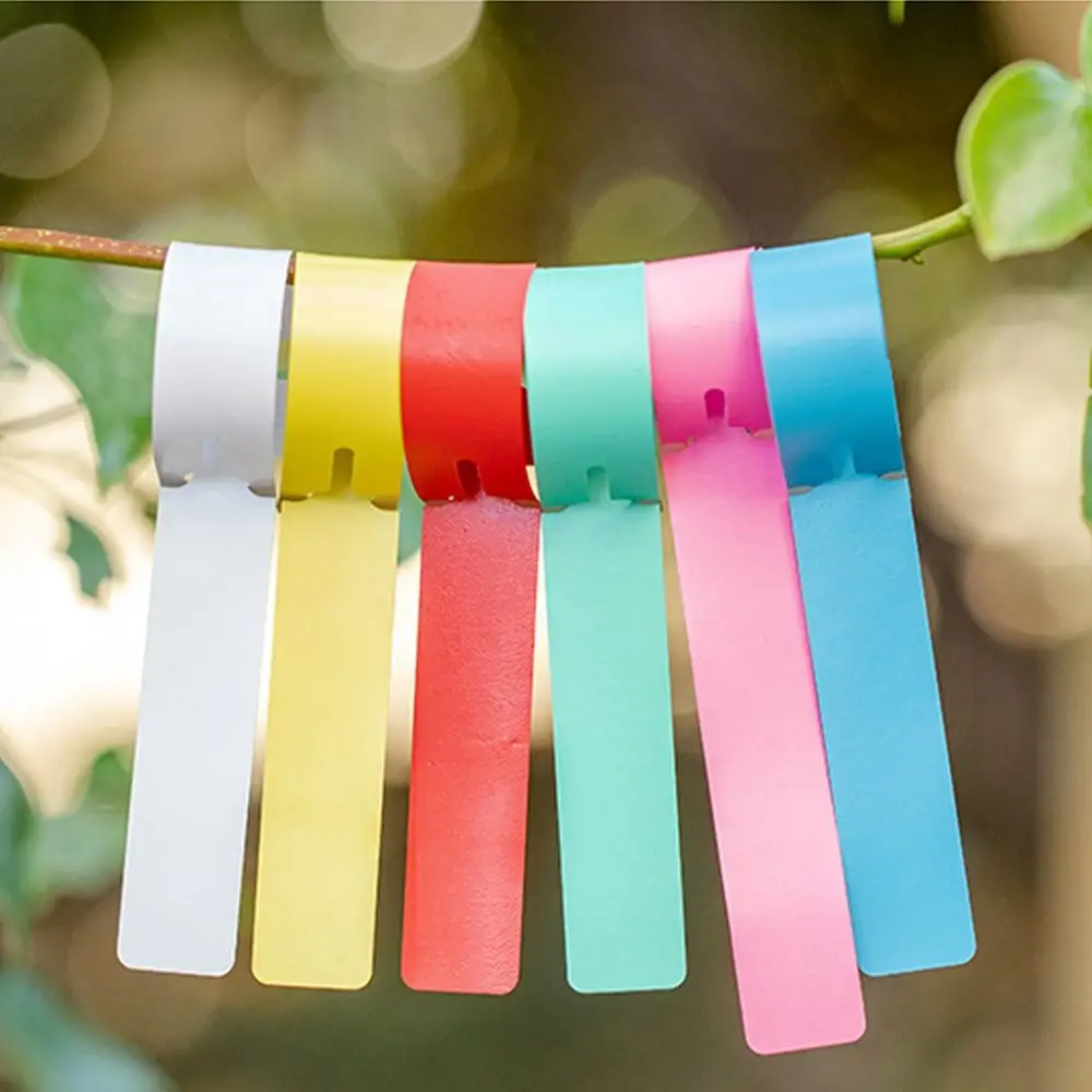 200pcs Durable Waterproof Plant Hanging Tags Reusable Solid Color Plant Markers PVC Plants Prompt Card Plant Vegetables
200pcs Durable Waterproof Plant Hanging Tags Reusable Solid Color Plant Markers PVC Plants Prompt Card Plant Vegetables