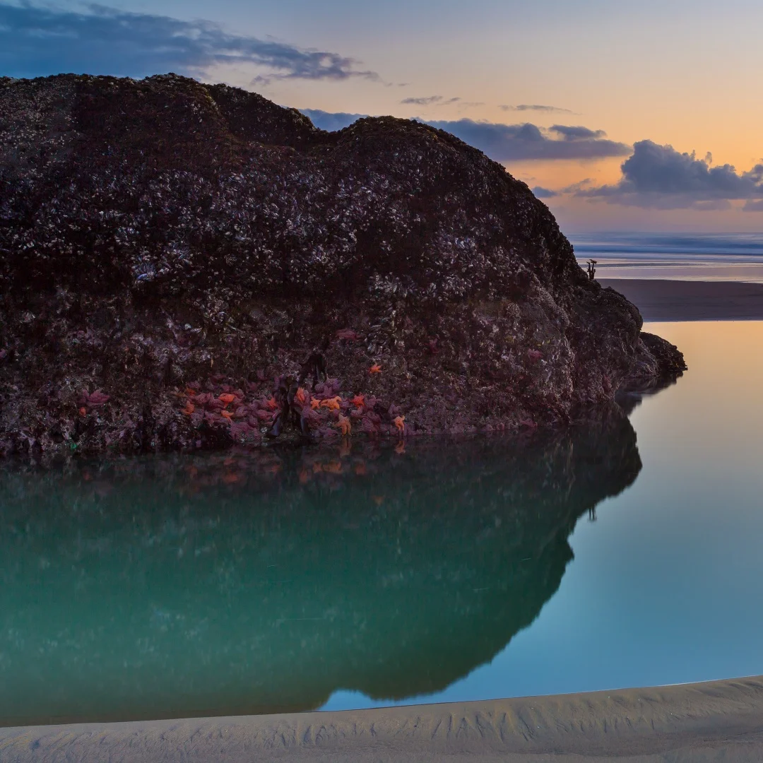 E For Bentley Continental Flying Spur 2005-2012 Android 14 9 Inch Car Radio Stereo Receiver Multimedia Player 360-degree image
E For Bentley Continental Flying Spur 2005-2012 Android 14 9 Inch Car Radio Stereo Receiver Multimedia Player 360-degree image