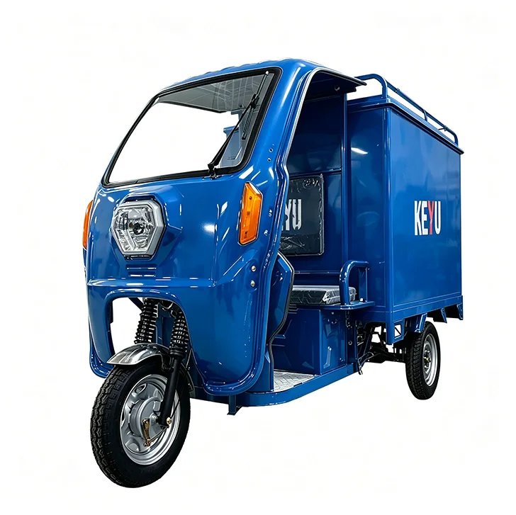 KEYU Electric Cargo Trike Tricycle with Box Enclosed Last Mile Delivery
KEYU Electric Cargo Trike Tricycle with Box Enclosed Last Mile Delivery