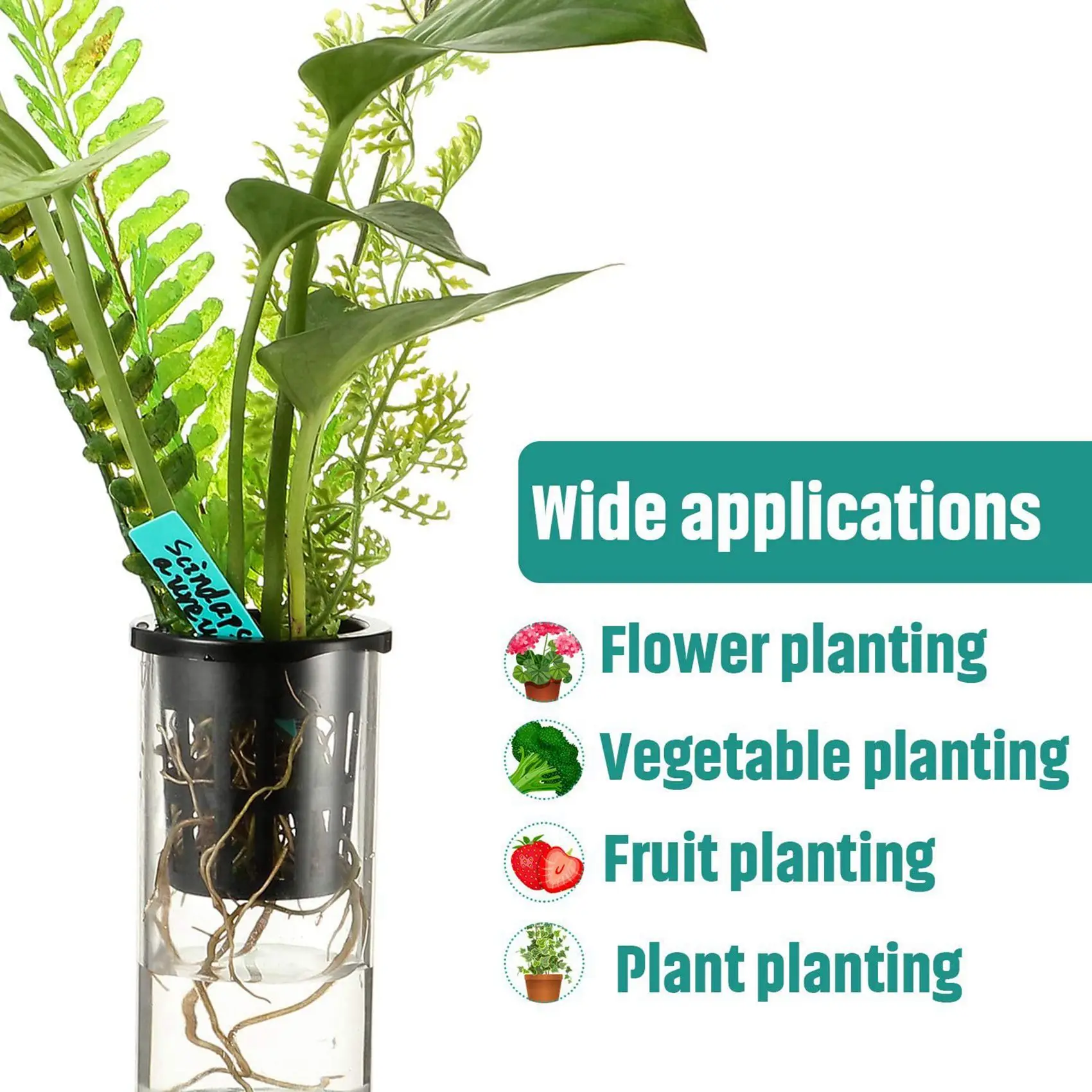 A43T 1000 Pack 2.36 Inch Net Cups Slotted Mesh Wide Lip Filter Plant Net Pot Bucket Basket For Hydroponics Aquaponics Orchids
A43T 1000 Pack 2.36 Inch Net Cups Slotted Mesh Wide Lip Filter Plant Net Pot Bucket Basket For Hydroponics Aquaponics Orchids