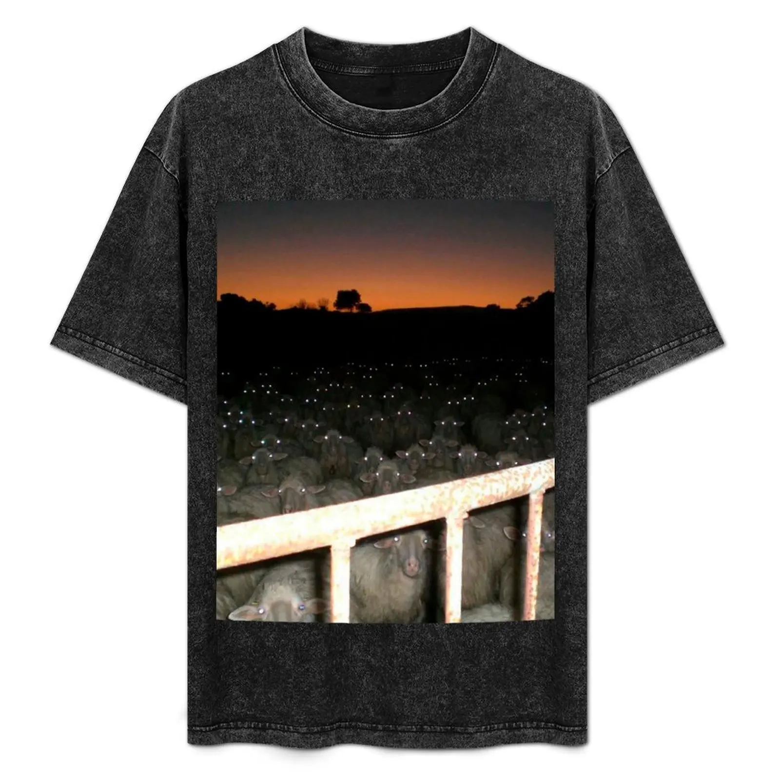 Sheeps At Night Look Terrifying - Cursed Image #0001 T-Shirt Basic Short Sleeve Cotton Blend T-Shirt
Sheeps At Night Look Terrifying - Cursed Image #0001 T-Shirt Basic Short Sleeve Cotton Blend T-Shirt