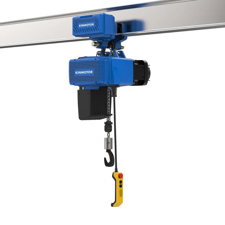 CE Variable Speed 500kg D2B050 Electric Hoist 220v/380v With Low Price For Sale
CE Variable Speed 500kg D2B050 Electric Hoist 220v/380v With Low Price For Sale