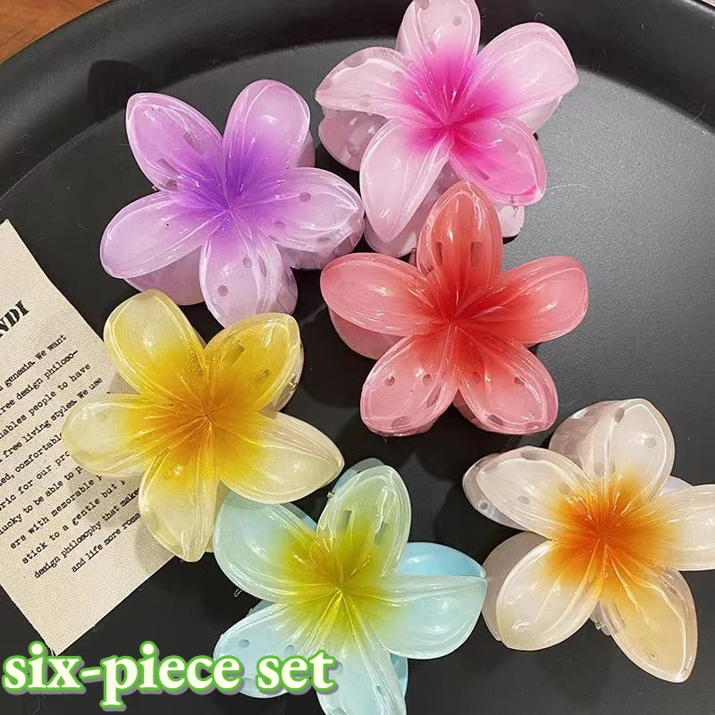 Набор заколок для волос с градиентом из шести цветов в пляжном стиле, модные заколки-крабы для женщин и девушек
Набор заколок для волос с градиентом из шести цветов в пляжном стиле, модные заколки-крабы для женщин и девушек