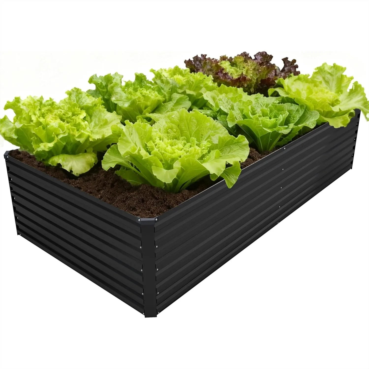 Galvanized Raised Garden Bed Kit, 8x4x2ft Large Metal Planter Box for Vegetables, Flowers, Herbs - Black
Galvanized Raised Garden Bed Kit, 8x4x2ft Large Metal Planter Box for Vegetables, Flowers, Herbs - Black