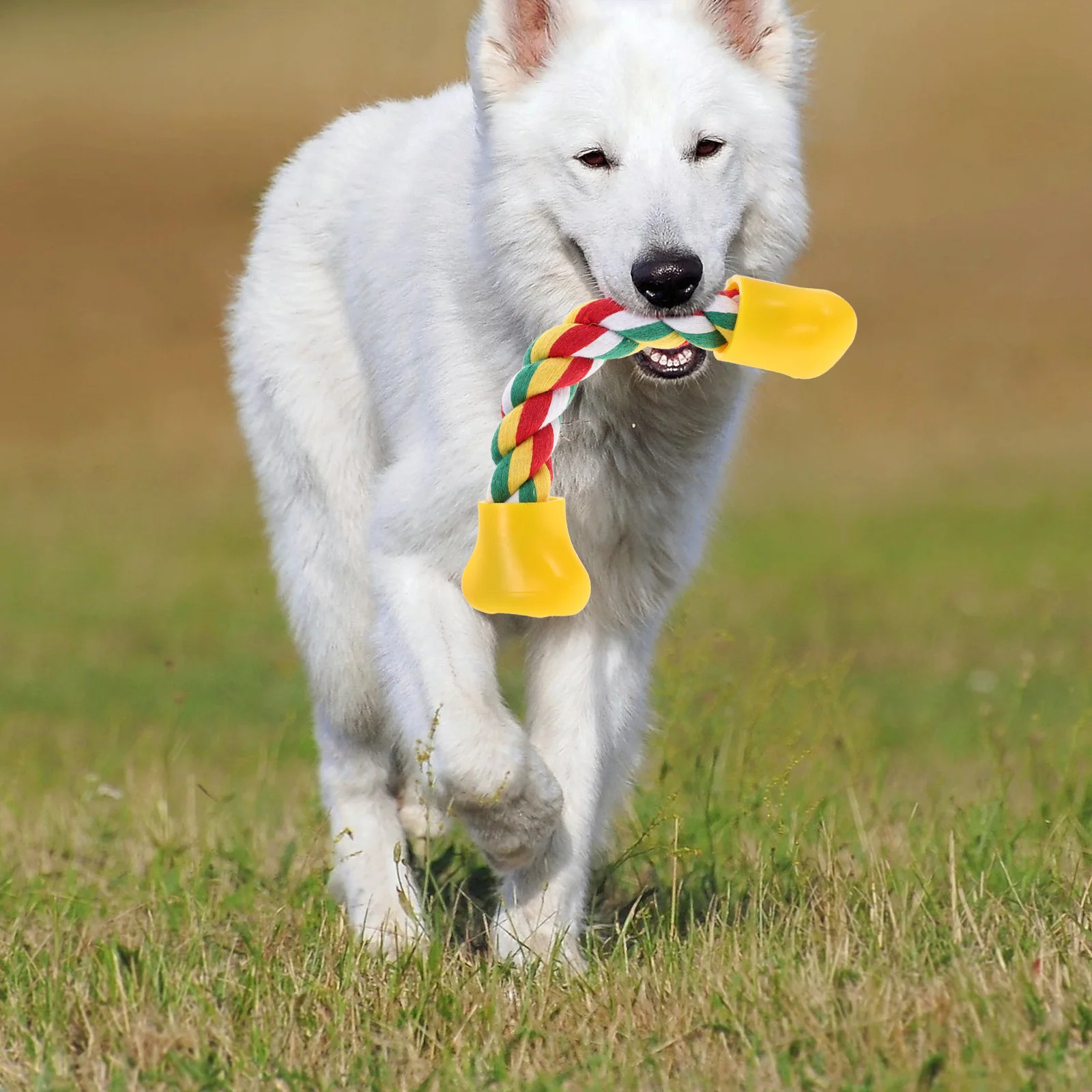 2pcs Dog Bone Shaped Teeth Cleaning Chew Toys Bite Proof Elastic Dental Rope for Puppies Plaque Tartar Removal Pet Training
2pcs Dog Bone Shaped Teeth Cleaning Chew Toys Bite Proof Elastic Dental Rope for Puppies Plaque Tartar Removal Pet Training