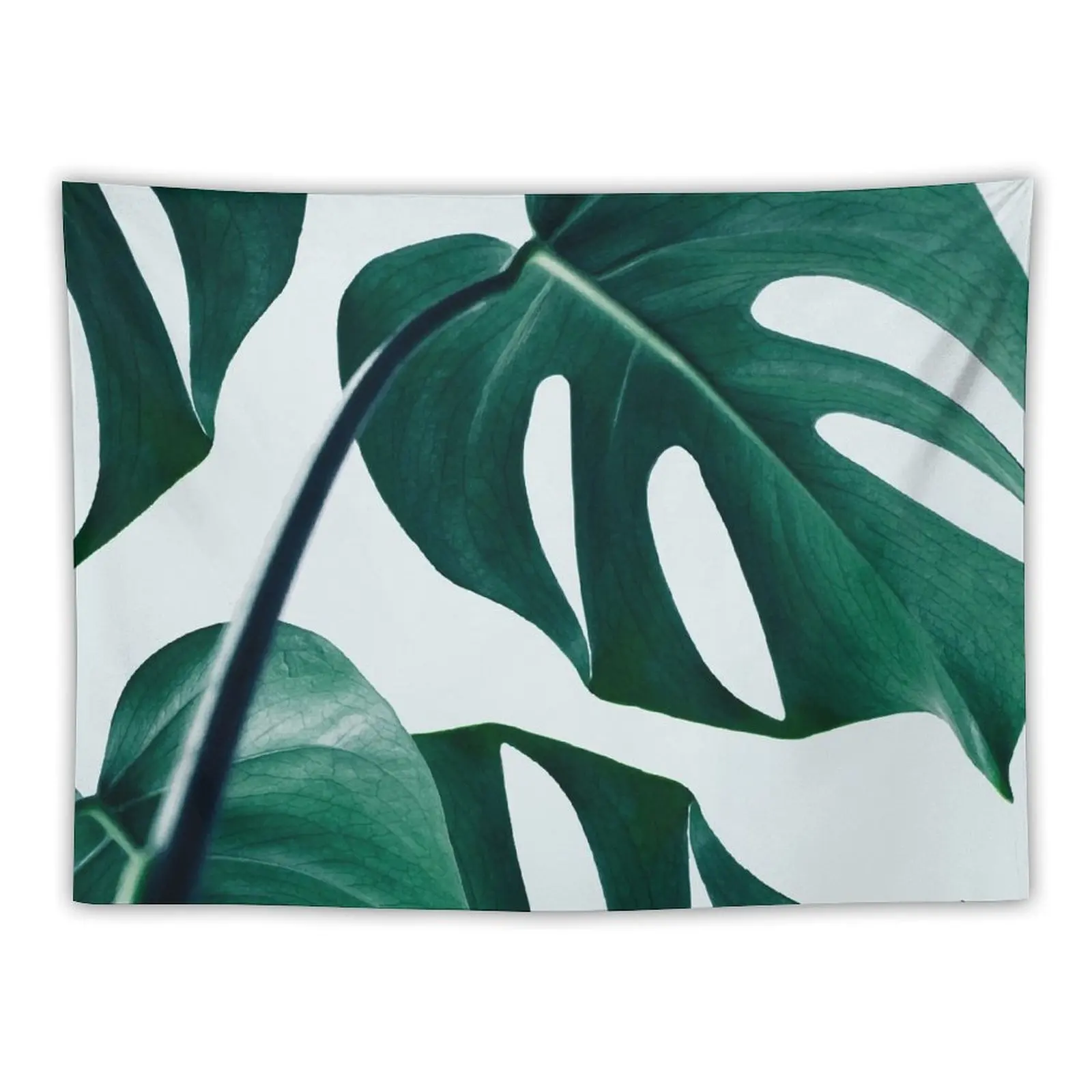 Monstera #redbubble #artprints Tapestry Anime Decor Room Decoration Aesthetic Aesthetic Decoration Tapestry
Monstera #redbubble #artprints Tapestry Anime Decor Room Decoration Aesthetic Aesthetic Decoration Tapestry