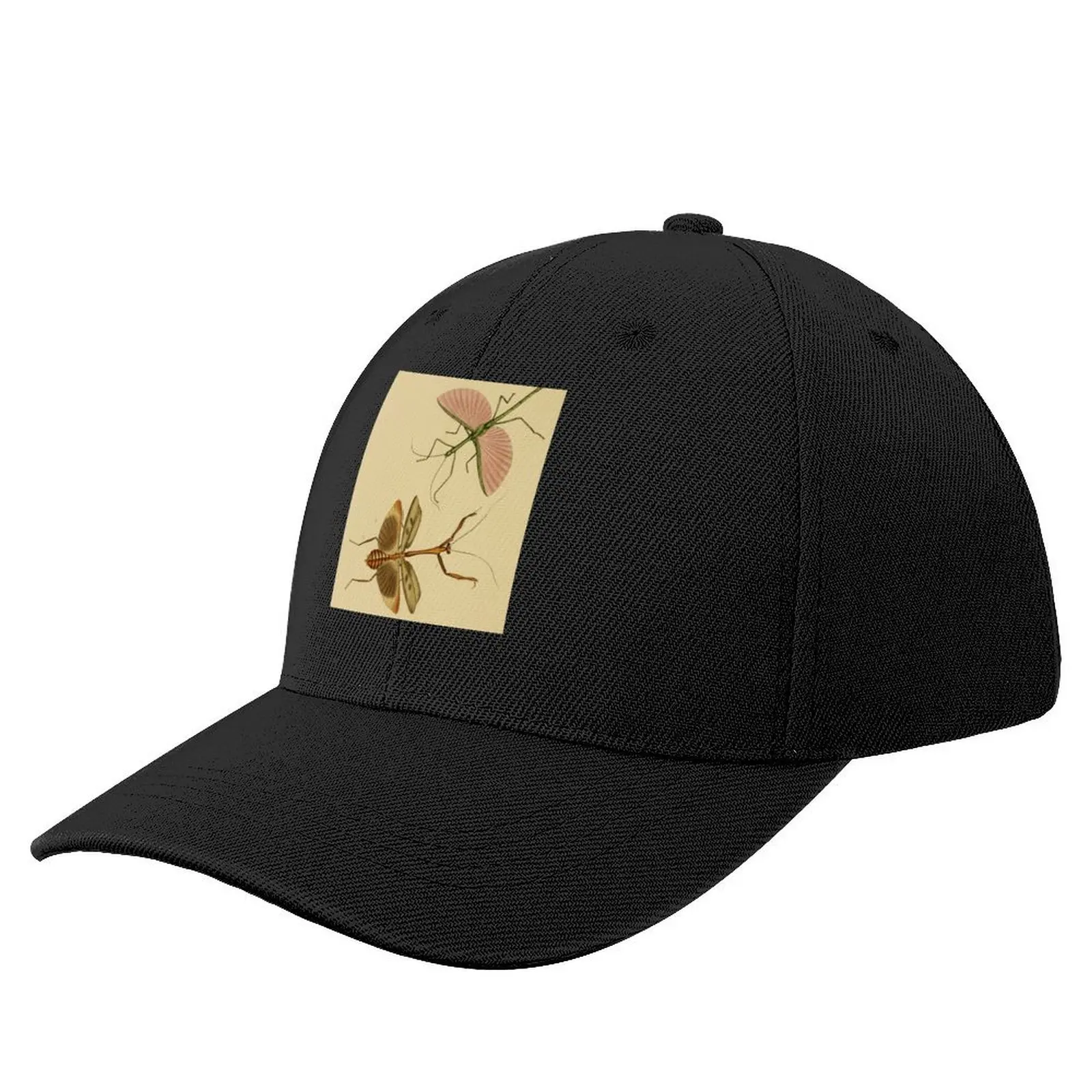 Naturalist Stick Insects Baseball Cap Anime Hat Sports Cap Men's Luxury Women's
Naturalist Stick Insects Baseball Cap Anime Hat Sports Cap Men's Luxury Women's