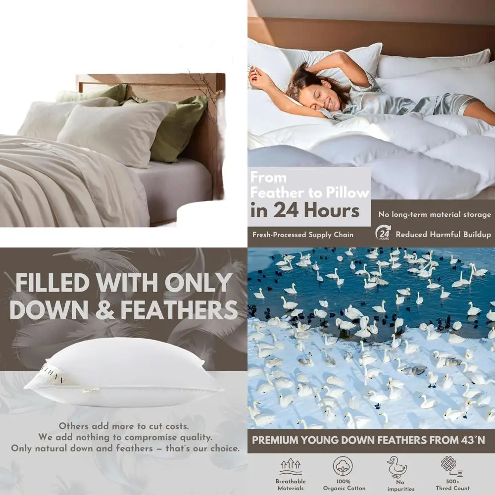 Luxury 1000-Thread Count Pillow Set for Side, Back, and Stomach Sleepers, 20x30, 2-Pack
Luxury 1000-Thread Count Pillow Set for Side, Back, and Stomach Sleepers, 20x30, 2-Pack