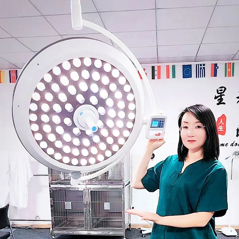 Portable LED Surgical Light With Stand Mobile Veterinary Operating Lamp For Clinic Use
Portable LED Surgical Light With Stand Mobile Veterinary Operating Lamp For Clinic Use