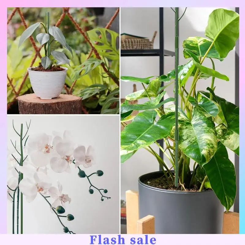 A06R Plant Support Stakes Moss Pole Plant Stakes For Climbing Plant For Indoor Plants Green
A06R Plant Support Stakes Moss Pole Plant Stakes For Climbing Plant For Indoor Plants Green
