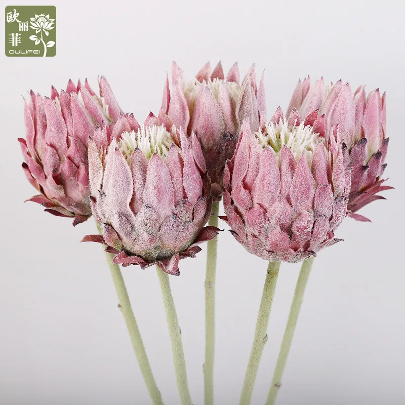 Чертополох искусственный цветок ветка букет цветочная композиция DIY свадебная вечеринка украшение дома реквизит моделирование растения цветок
Чертополох искусственный цветок ветка букет цветочная композиция DIY свадебная вечеринка украшение дома реквизит моделирование растения цветок