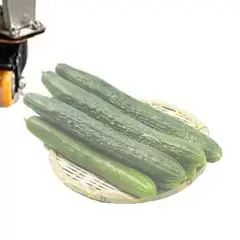 Commercial Electric Vegetable Cabbage Dicer Onion Leafy Slicer Cutting Machine
Commercial Electric Vegetable Cabbage Dicer Onion Leafy Slicer Cutting Machine