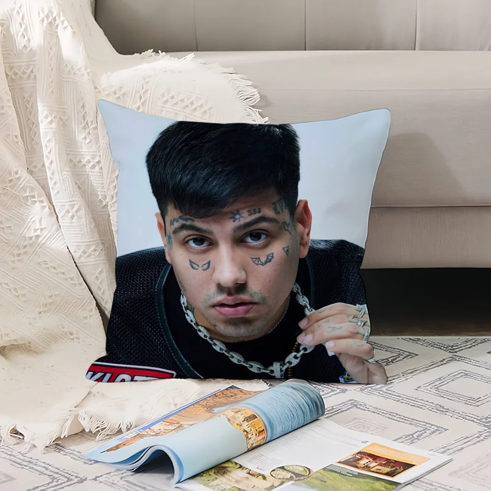 D-Duki Singer AMERI Pillow Case Office Cushions Suitable For Sofa Car Decorative Cushion Cover
D-Duki Singer AMERI Pillow Case Office Cushions Suitable For Sofa Car Decorative Cushion Cover