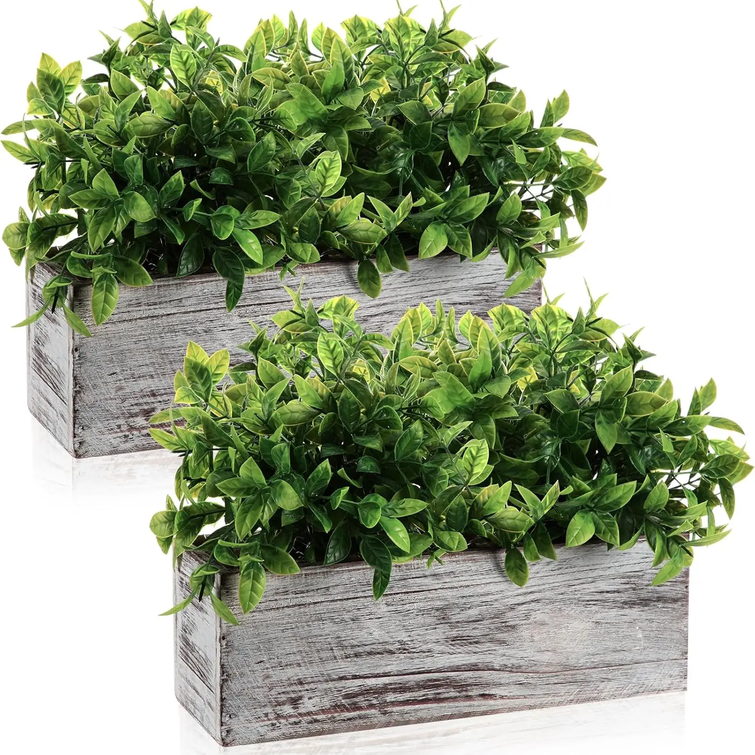 2 упаковки искусственных растений эвкалипта в деревенском деревянном ящике для цветов для свадебного стола, кухни, декора подоконника (зелень, 11,4 x 3,7 x
2 упаковки искусственных растений эвкалипта в деревенском деревянном ящике для цветов для свадебного стола, кухни, декора подоконника (зелень, 11,4 x 3,7 x