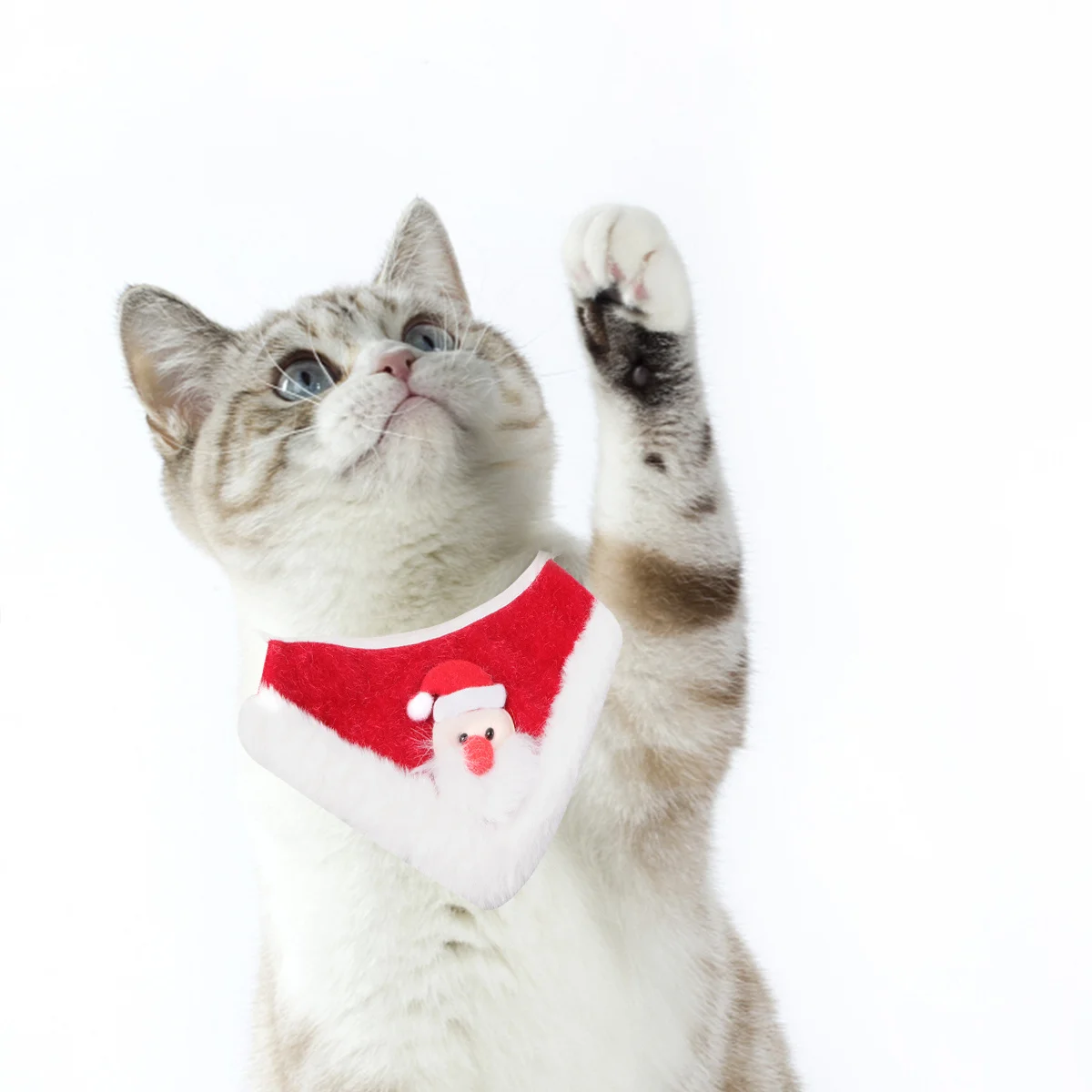 Christmas Pet Santa Claus Collar Bib Scarf Red Size L Cute Dog Cat Neckwear Pet Supplies Xmas Party Christmas Dog Collar Bib
Christmas Pet Santa Claus Collar Bib Scarf Red Size L Cute Dog Cat Neckwear Pet Supplies Xmas Party Christmas Dog Collar Bib