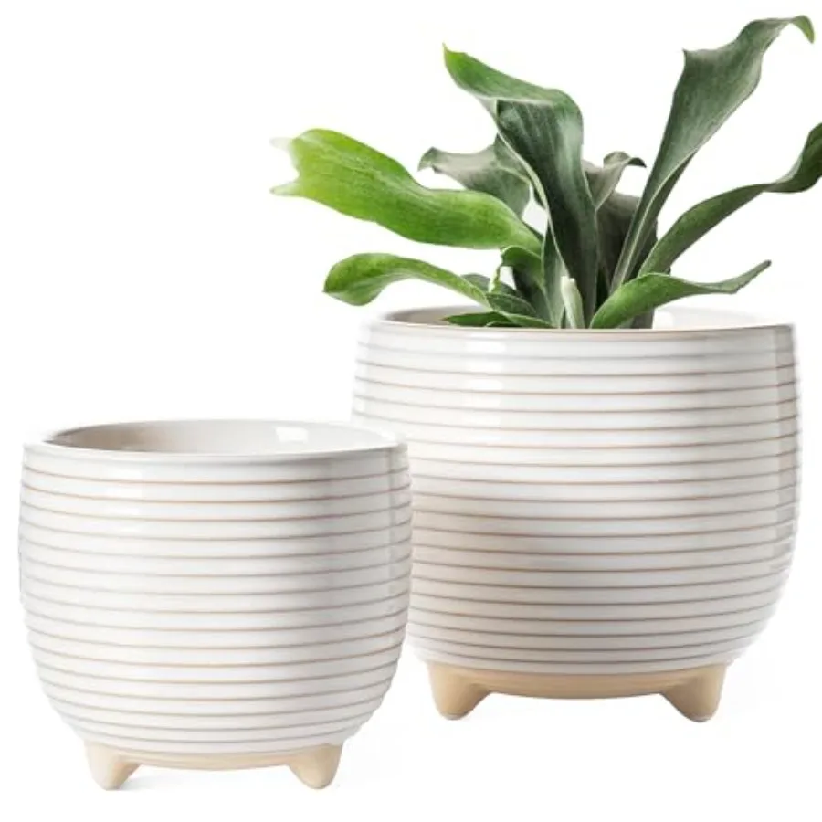 Ceramic Plant Pots, 5.1 + 6.4 Inch Footed Pots for Plants, Modern Flower Pots for Home and Office, Indoor Planters with Drainag
Ceramic Plant Pots, 5.1 + 6.4 Inch Footed Pots for Plants, Modern Flower Pots for Home and Office, Indoor Planters with Drainag