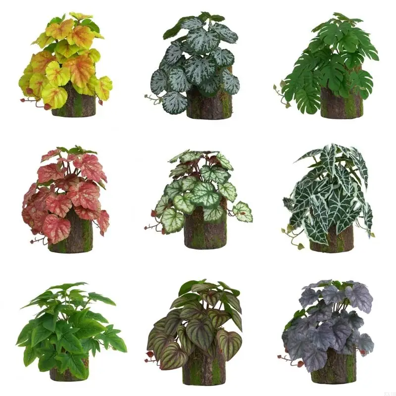 KX4B Aquarium Decor Terrarium Plant FishTank Decoration Plants for Amphibian Lizards Habitat
KX4B Aquarium Decor Terrarium Plant FishTank Decoration Plants for Amphibian Lizards Habitat