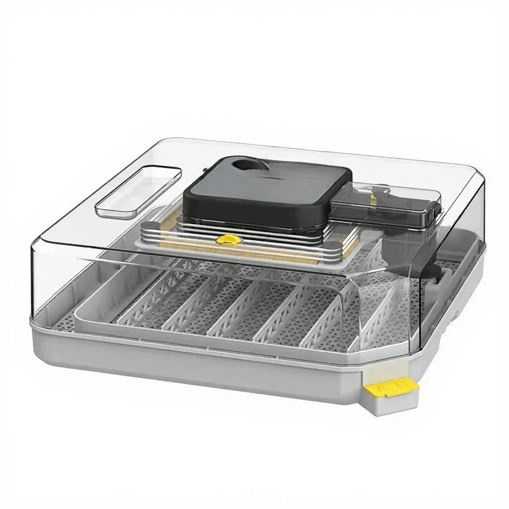 48H Energy Saving Portable Automatics Chick Egg Hatchings(no Egg )
48H Energy Saving Portable Automatics Chick Egg Hatchings(no Egg )