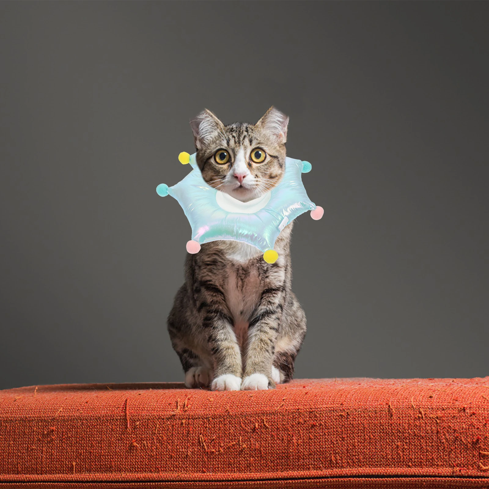Pet Collar Cat Webbing Cute Soft for Cats Tag Puppy Collars Whelping Calming Teasing Indoor
Pet Collar Cat Webbing Cute Soft for Cats Tag Puppy Collars Whelping Calming Teasing Indoor