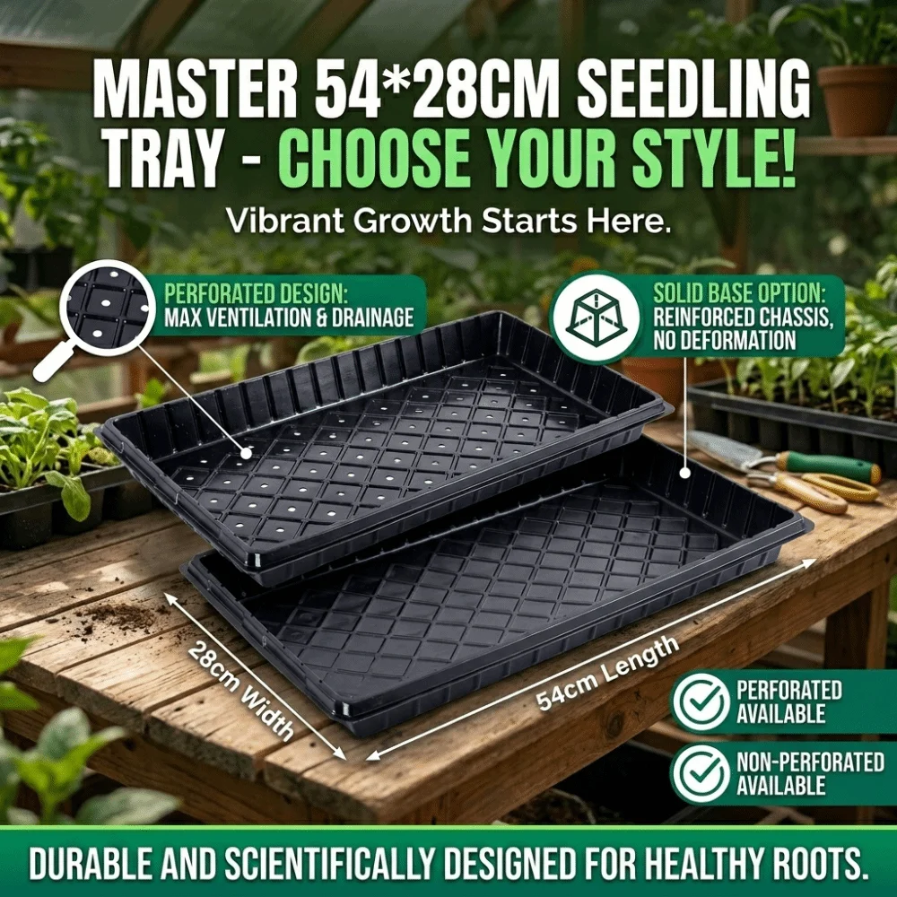 2pcs Reusable 54*28cm Seeding Nursery Tray with Holes Succulent Growing Plate Seed Starting Flower Plant Germination Tray Garden
2pcs Reusable 54*28cm Seeding Nursery Tray with Holes Succulent Growing Plate Seed Starting Flower Plant Germination Tray Garden
