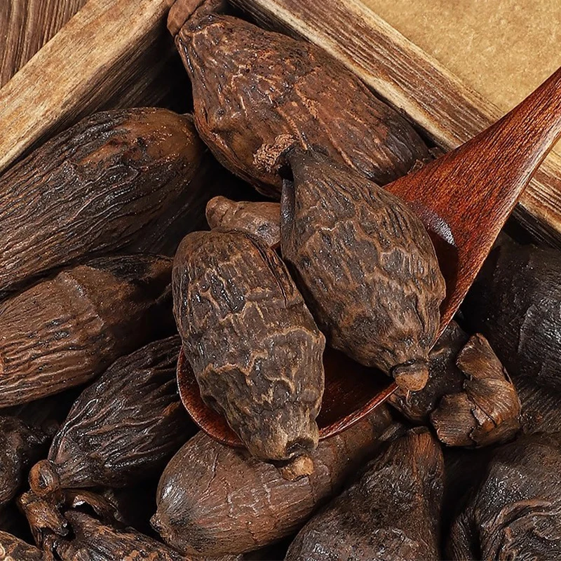 Xiangtan Special Grade Wild Areca Catechu Natural Whole Betel Dried Nut Areca Flower DIY Resin Material Photography Props
Xiangtan Special Grade Wild Areca Catechu Natural Whole Betel Dried Nut Areca Flower DIY Resin Material Photography Props