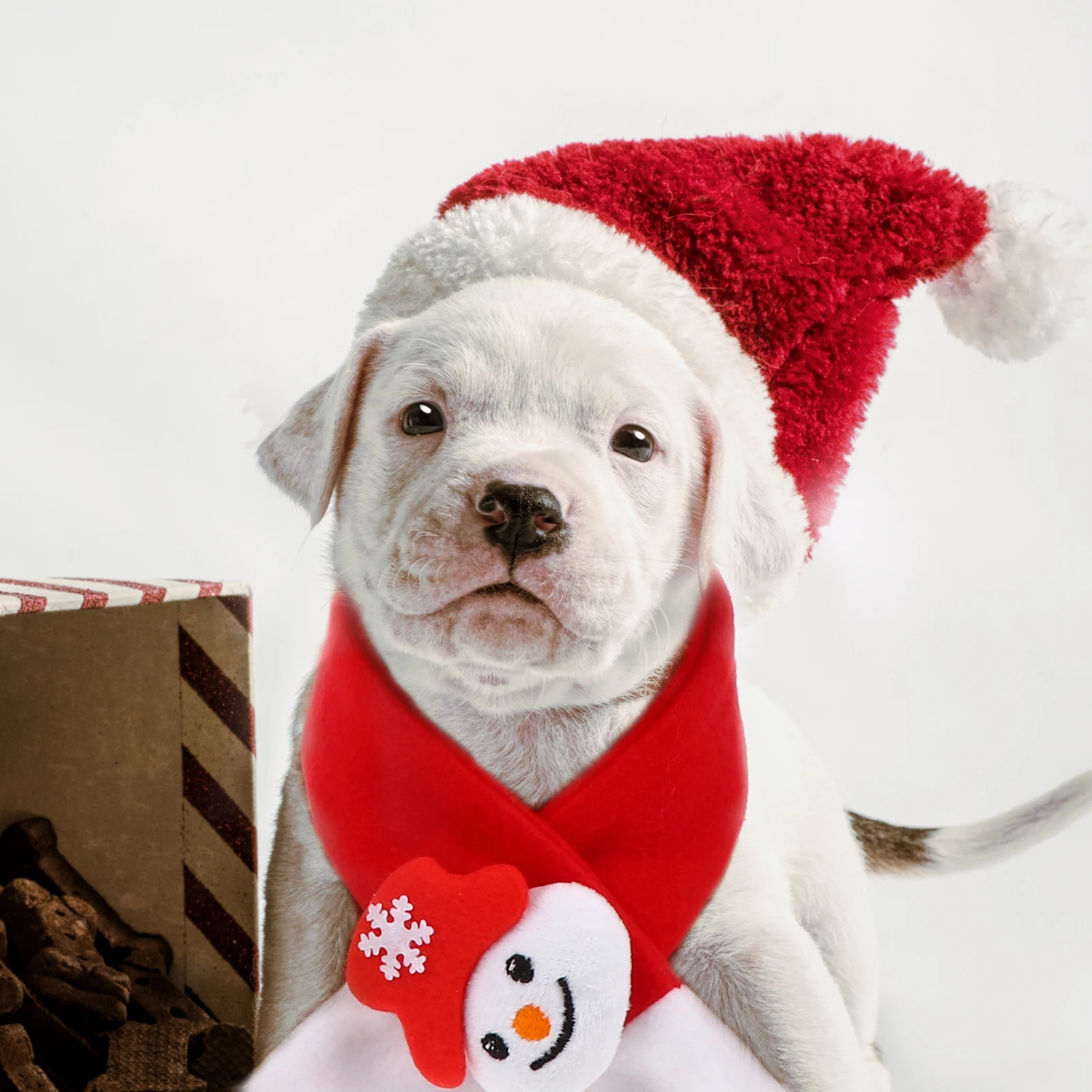 1 set 1 Set Pet Costume For Dog Cat Reusable Soft Hat Scarf Accessory Festive Cosplay Outfit Dog Christmas Hat Santa Collar
1 set 1 Set Pet Costume For Dog Cat Reusable Soft Hat Scarf Accessory Festive Cosplay Outfit Dog Christmas Hat Santa Collar