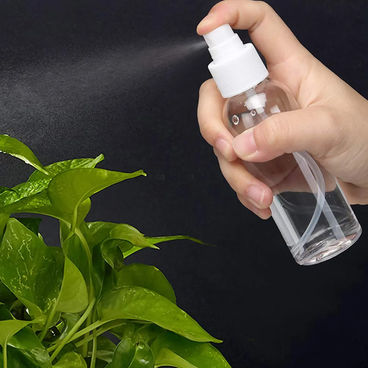 14Pcs Bottle Spray Head Plastic Bottle Sprayer Nozzle Replacement for Bathroom Kitchen Home Use Spray Head Mist Sprayer
14Pcs Bottle Spray Head Plastic Bottle Sprayer Nozzle Replacement for Bathroom Kitchen Home Use Spray Head Mist Sprayer