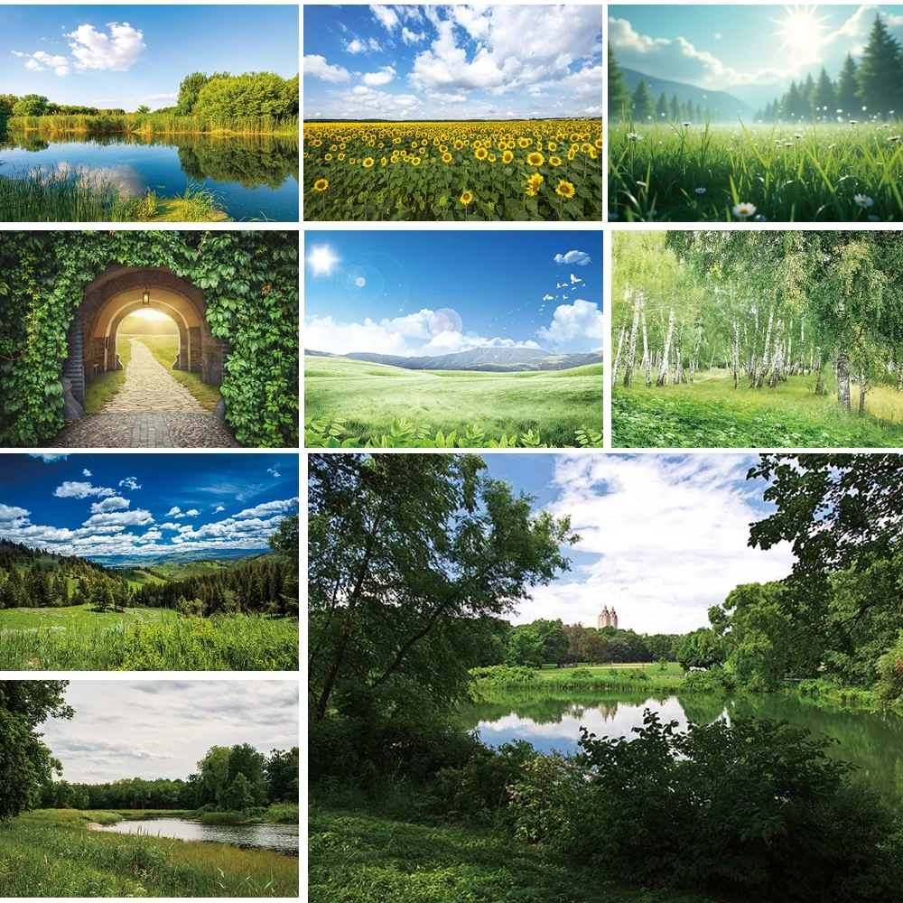 MOON.QG Birch Tree Grove Trail Backdrop Trees Spring Lush Undergrowth Backgrounds For Photographs Decoration Photocall Studio
MOON.QG Birch Tree Grove Trail Backdrop Trees Spring Lush Undergrowth Backgrounds For Photographs Decoration Photocall Studio