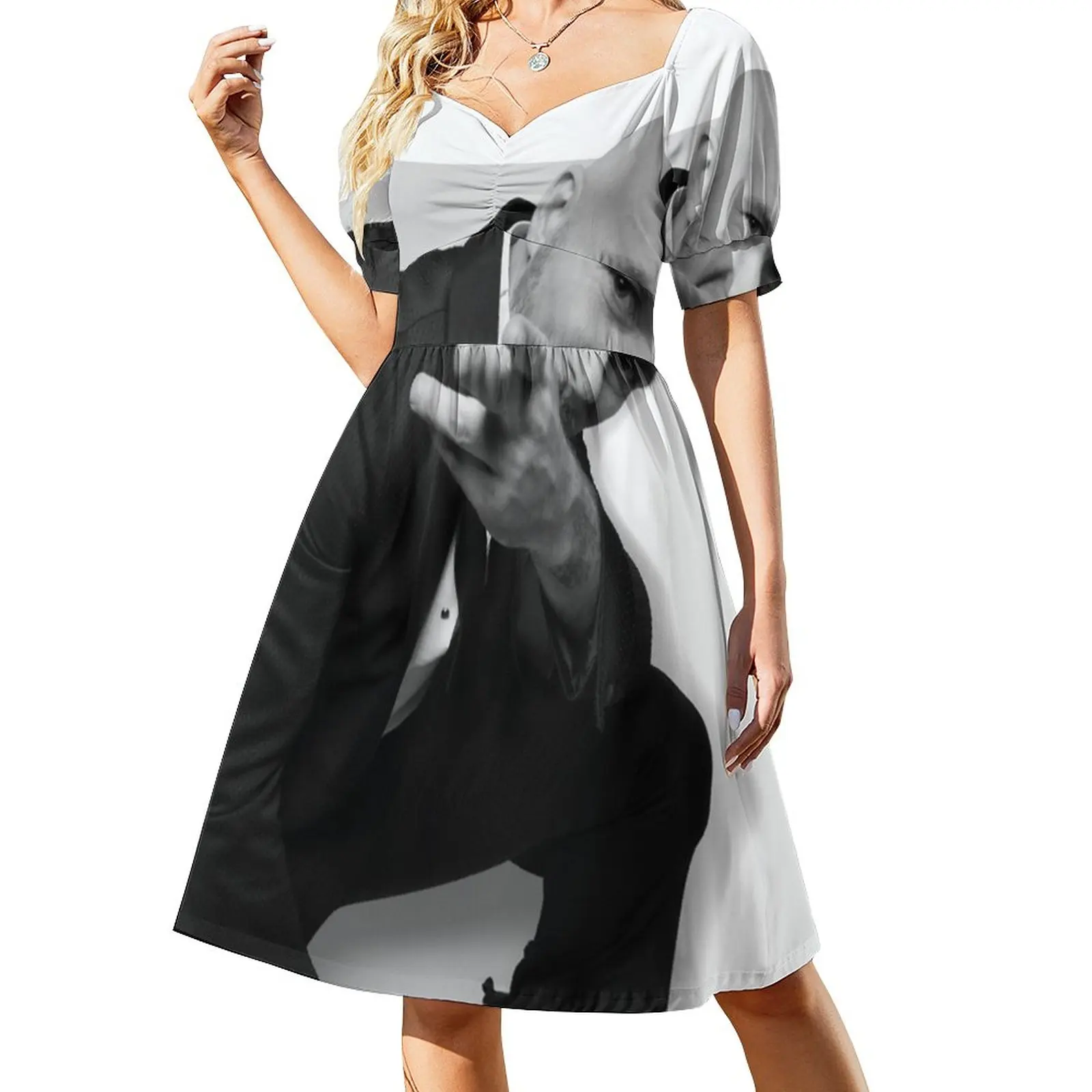 Pitbull Mr.Worldwide Sleeveless Dress dress elegant party dress for women 2024
Pitbull Mr.Worldwide Sleeveless Dress dress elegant party dress for women 2024