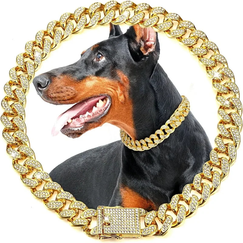 Dog Chain Collar Luxury Gold Pet Metal Chain Collar For Small Medium Large Dogs Cats Pet Jewelry Necklace Accessorie
Dog Chain Collar Luxury Gold Pet Metal Chain Collar For Small Medium Large Dogs Cats Pet Jewelry Necklace Accessorie