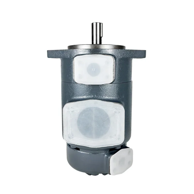 Made in China Replacement Tokimec Hydraulic Pump SQP21-10/12/14/15/17/19/21/25-7/10/11-1/86AABBCCDD-18 double vane pump
Made in China Replacement Tokimec Hydraulic Pump SQP21-10/12/14/15/17/19/21/25-7/10/11-1/86AABBCCDD-18 double vane pump