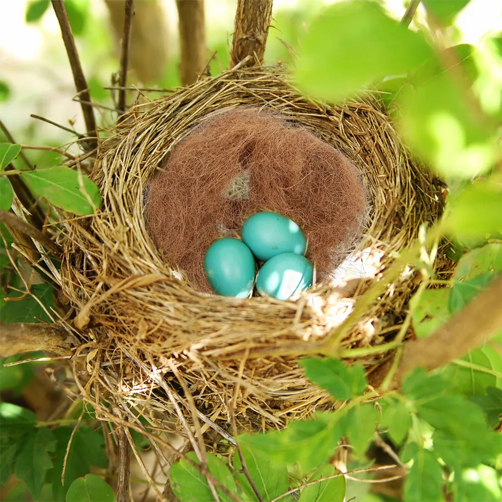 Bird's Nest Cushion Material Nesting Pet Supplies Materials Coconut Palm Silk Nests Bedding House
Bird's Nest Cushion Material Nesting Pet Supplies Materials Coconut Palm Silk Nests Bedding House