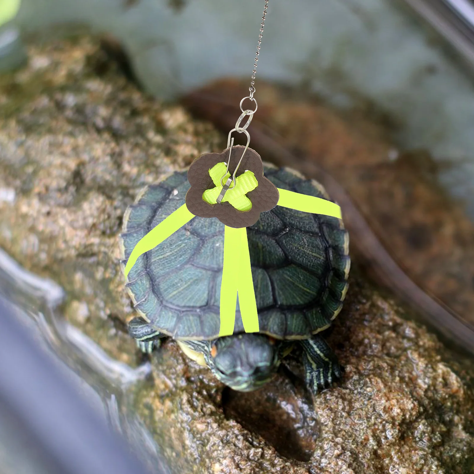 Pet Traction Reptile Leash Turtle Training Lead Walking Harness Lead Collar Harness Pet Supplies
Pet Traction Reptile Leash Turtle Training Lead Walking Harness Lead Collar Harness Pet Supplies