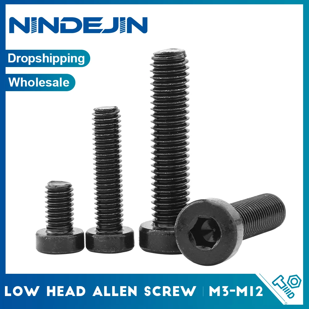 NINDEJIN 2-40pcs Low Profile Hex Socket Cap Head Screw M3 M4 M5 M6 M8 M10 M12 12.9 Grade Carbon Steel Thin Head Allen Cap Screw
NINDEJIN 2-40pcs Low Profile Hex Socket Cap Head Screw M3 M4 M5 M6 M8 M10 M12 12.9 Grade Carbon Steel Thin Head Allen Cap Screw