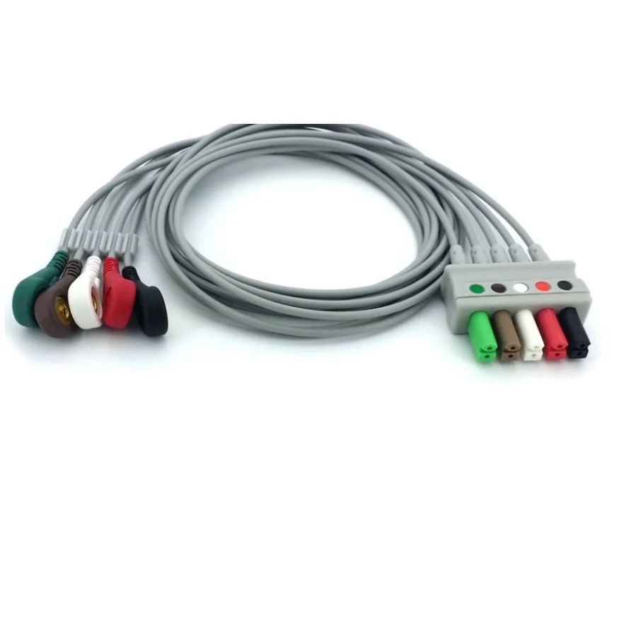 Совместим с Mindray T5 T8 IPM8 iMEC10 N12 15, провод отведения ЭКГ, разделенный с пятью свинцами
Совместим с Mindray T5 T8 IPM8 iMEC10 N12 15, провод отведения ЭКГ, разделенный с пятью свинцами